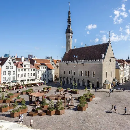 Dream - Main Square With Picturesque View *